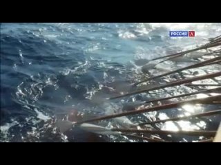video энциклопедия загадок страна амазонок sex