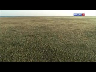 video энциклопедия загадок тургайские геоглифы тайна древних кочевников sex