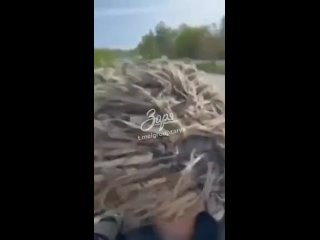 video всушники пытаются быстро отступить но в результате падают в реку sex