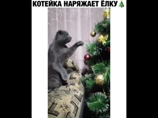 video хейтеры скажут обратная сьемка sex