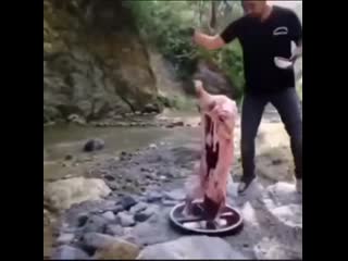 video приготовление свинины на природе sex