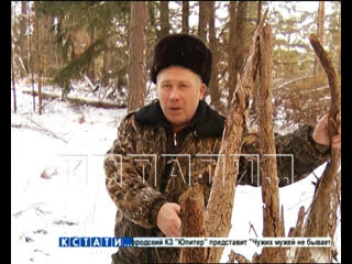 video жителю гагино который собрал не тот валежник в лесу грозит 18 лет лишения свободы sex