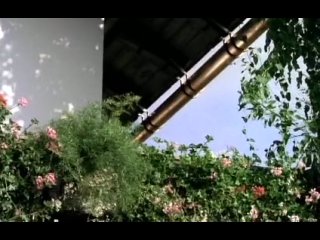 video мадемуазель жозефина 1 часть sex