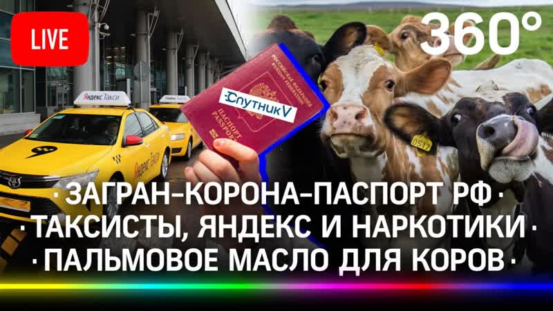 video загран корона паспорт рф таксисты яндекс и молодые пальмовое масло для коров sex