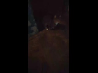 video ger吴梦梦到桃园过夜突然姊姊回来在厨房的姊姊一边对话一边猛干最后中出完还叫梦梦舔乾淨 vid 20210309 075737 mp4 sex