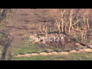 video ровнополь южнодонецкое направление 394 мотострелковый полк 127 мотострелковой дивизии угощает дроном камикадзе sex