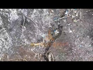 video новая подборка сбросов гранат с квадрокоптеров на позиции всу в районе курдюмои бахмутское направление sex