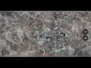 video севернее приютного времевское направление 143 мотострелковый полк 127 мотострелковой дивизии передает новогодние sex