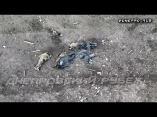 video группироа войск днепр херсонское направление 07 01 2024 г цена небольшого плацдарма на левом берегу днепра а еще sex