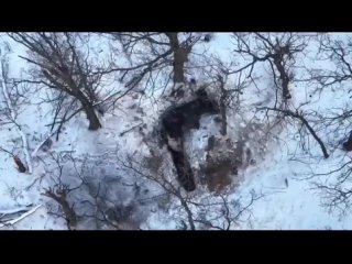 video в сети появилось видео на котором попавший в плен русский боец бросает гранату в блиндаж противника почему граната sex