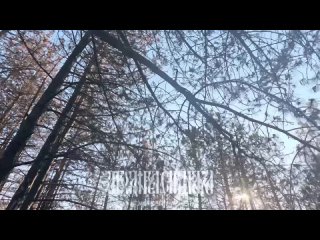 video полетели наши крылатые архангелы отрабатывать по врагу парням удачи и скорейшего возвращения архангел спецназа sex
