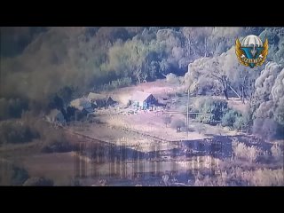 video курское направление н п русская конопелька разведчиками вскрыт пункт временной дислокации минометного расчета sex