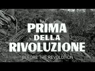 video перед революцией 1964 prima della rivoluzione реж бернардо бертолуччи драма мелодрама sex