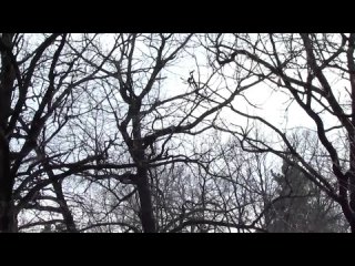 video антонио вивальди времена года весна часть 1 allegro sex