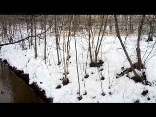 video rabbits mov 0436 mp4 sex