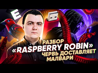 video малварь raspberry robin фатальный разбор sex