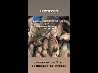 video видео от криминальные новости якутии 18 sex