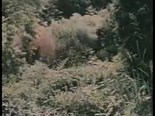 video сексуальный каннибал дьявольский охотник секс с каннибалами sexo canнbal devil hunter 1980 sex