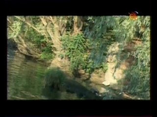 video энциклопедия великих людей серия 12 питер брейгель старший слепые sex