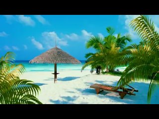 video зэбосы загорелая попка sex
