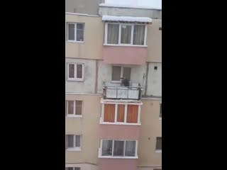 video внимание ведётся наблюдение vhs video sex