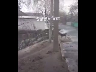 video безопасность превыше всего vhs video sex