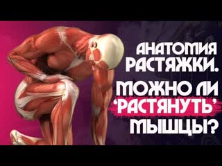 video sls алкоголь влияет на гибкость растяжка и стретчинг мышцы сухожилия и связки sex