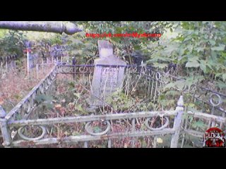video товарищ у 102 урожай книги художник всеcтанцииметро видеолэндингидлябизнеса рекламноеагенство shumagon wideobiz sex