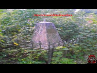 video товарищ у 113 урожай книги художник всеcтанцииметро видеолэндингидлябизнеса рекламноеагенство shumagon wideobiz sex