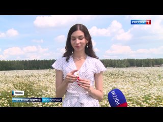 video местное время воскресенье 3 июля 9 июля 2023 года sex
