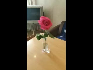 video гости уехали приятная неожиданность sex