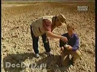 video поиск пришельцев странные огни и похищение 2014 sex