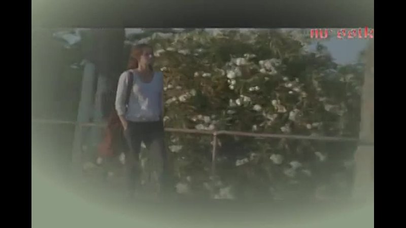 video треугольник смг сара танкреди майкл скофилд гретхен морган prison break побег из тюрьмы sex