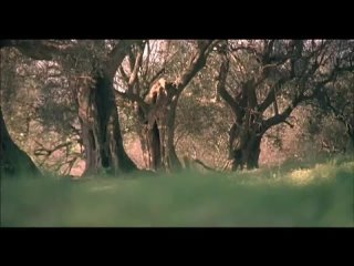 video территория девственниц virgin territory 2007 трейлер sex