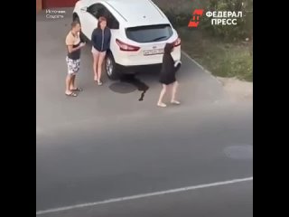 video ходила по улице и показывала прохожим обнажённую грудь sex