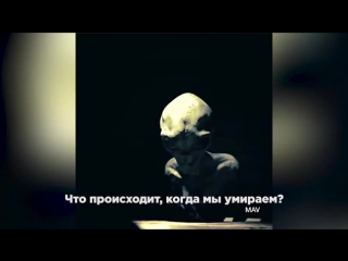 video в сети появилось фейковое интервью с пришельцем sex