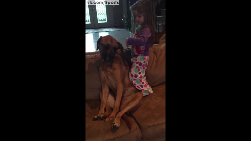 video маленькая девочка играет в доктора с терпеливой молодые dog tolerates little girl playing doctor sex