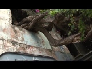 video молодаякончает arg 0026 瀬戸早妃 seto saki 甘い君の記憶 sex