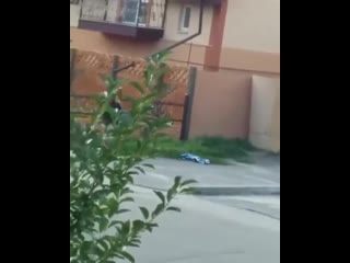 video жесть в запорожье мужчина заставил женщину раздеться прямо на улице по словам очевидцев пара громко выясняла sex