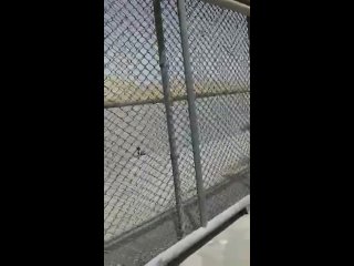 video талибы взяли под свой контроль всю пограничную зону между афганистаном и таджикистаном выйдя к рубежам одкб один sex