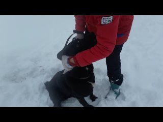 video видео от бездомные и потерянные молодые в переславле sex