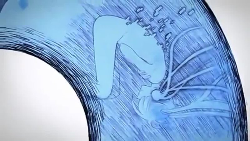 video donut hole rus sex