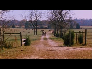 video бухгалтер the accountant сша 2001 короткий метр короткометражка sex