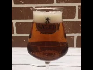 video salek amber lager sex