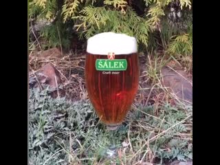 video salek amber lager sex
