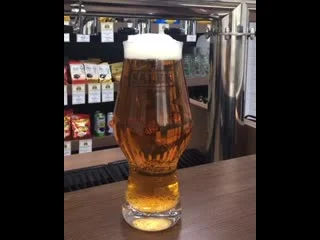 video salek amber lager sex