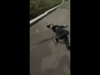 video только уличные драки лучший комментатор sex