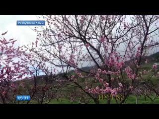 video pornleegotti vid 20220318 073203 835 mp4 sex