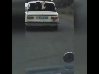 video что бы телка дала нужно ее покатать по городу только потом к себе домой и там уже ждать продолжения sex