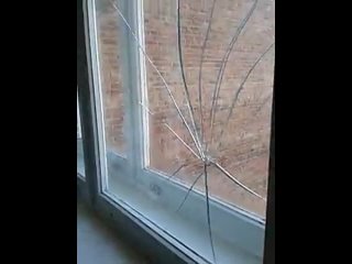 video любитель снимать вертикально sex